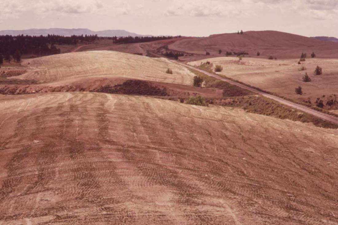 Old spoil piles are flattened and planted in an attempt at reclamation. Dry climate and shallow soil permit only sparse growth, June 1973